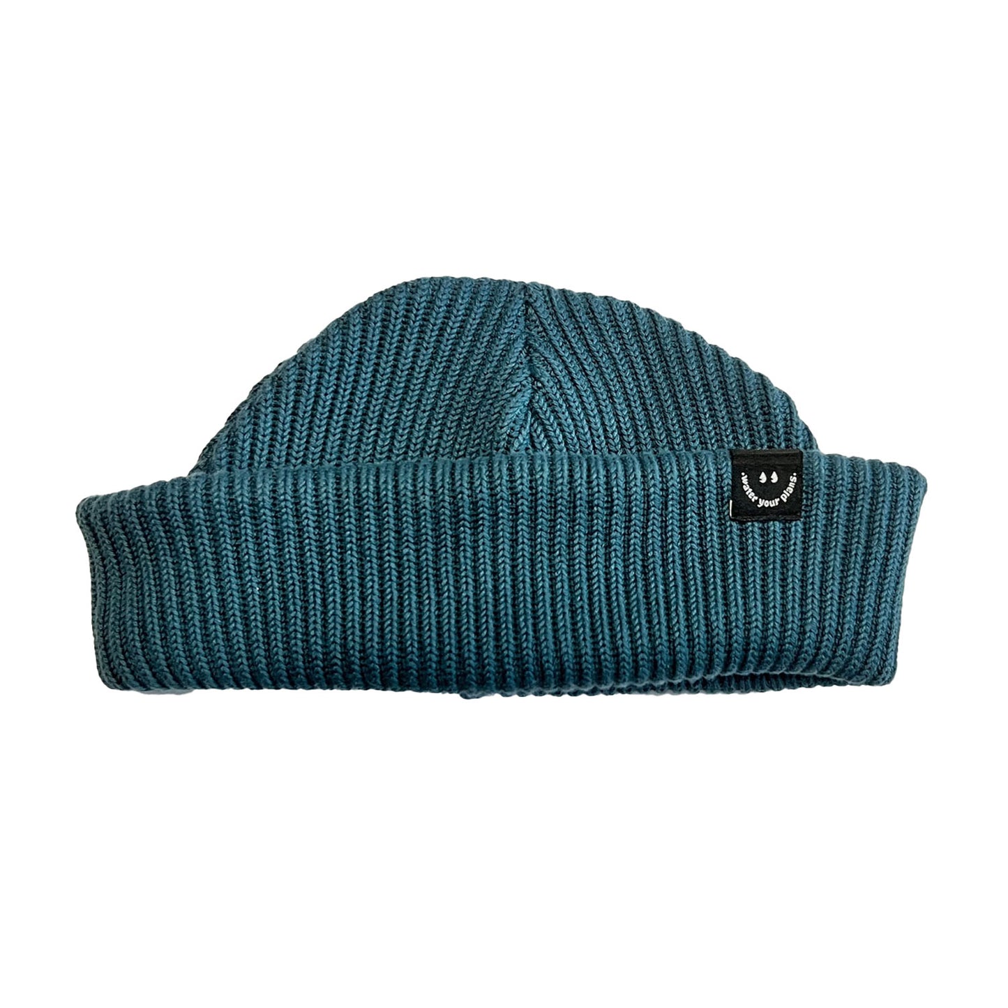 Beanie Petrol