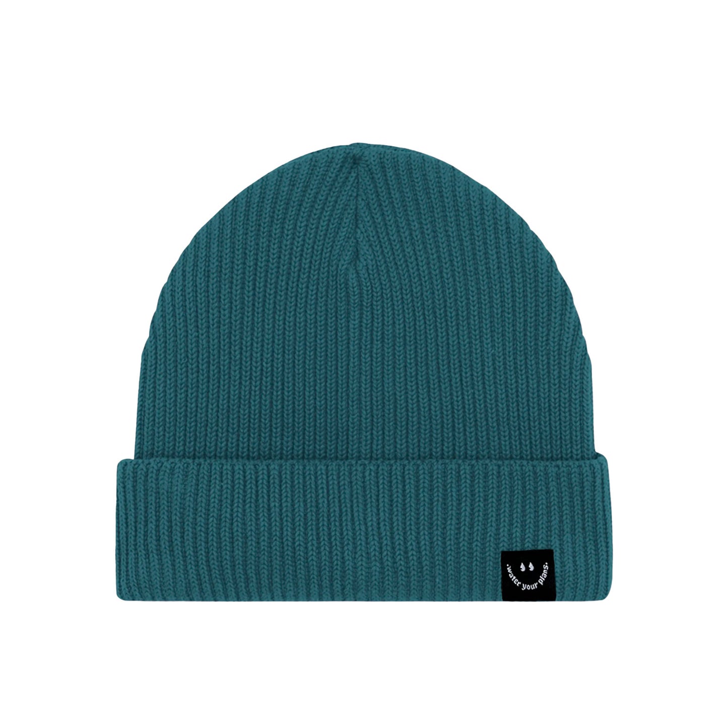 Beanie Petrol